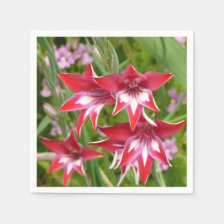 Red and White Gladiolas Summer Botanical Napkin