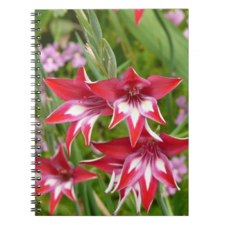 Red and White Gladiolas Summer Botanical Spiral Notebook
