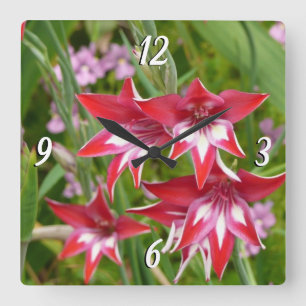 Red and White Gladiolas Summer Botanical Square Wall Clock