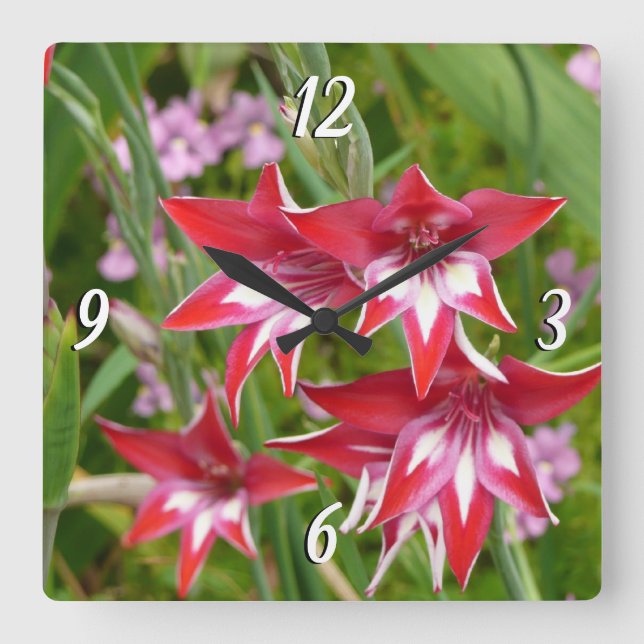 Red and White Gladiolas Summer Botanical Square Wall Clock (Front)