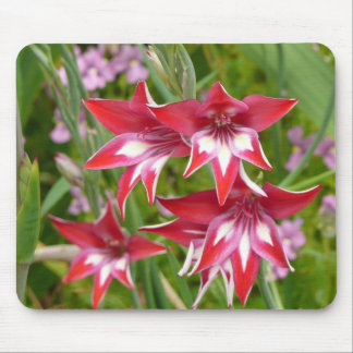 Red and White Gladiolas Summer Garden Mouse Pad