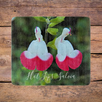 Red and White Hot Lips Salvia Floral