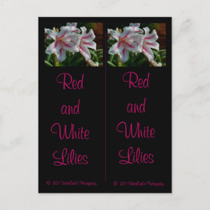 Red and White Lilies Bookmarks Postcard