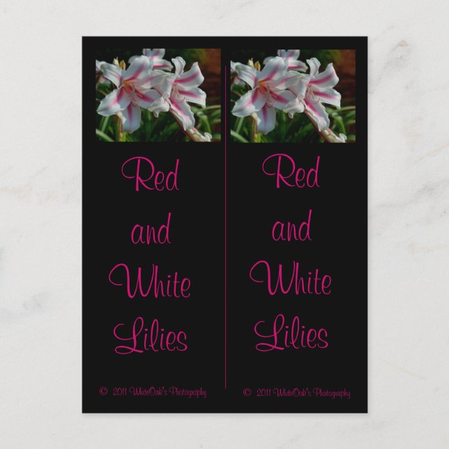 Red and White Lilies Bookmarks Postcard (Front)