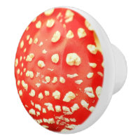 Red and White Mushroom Toadstool Photography
