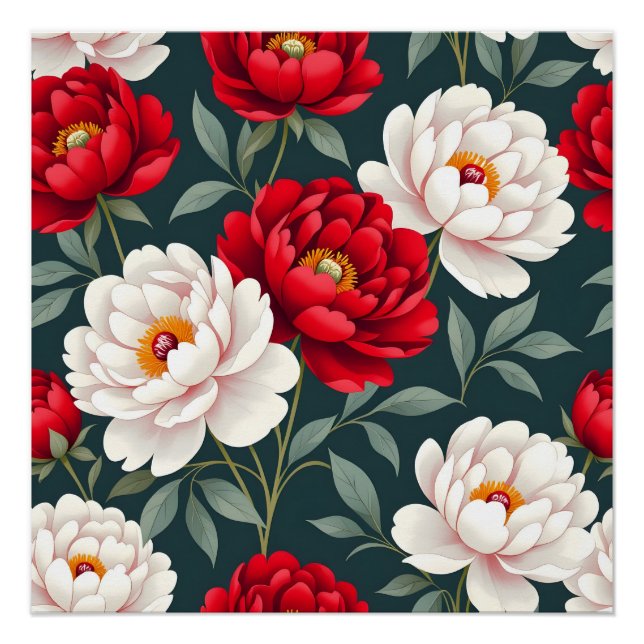 Red and white peony flowers  poster (Front)