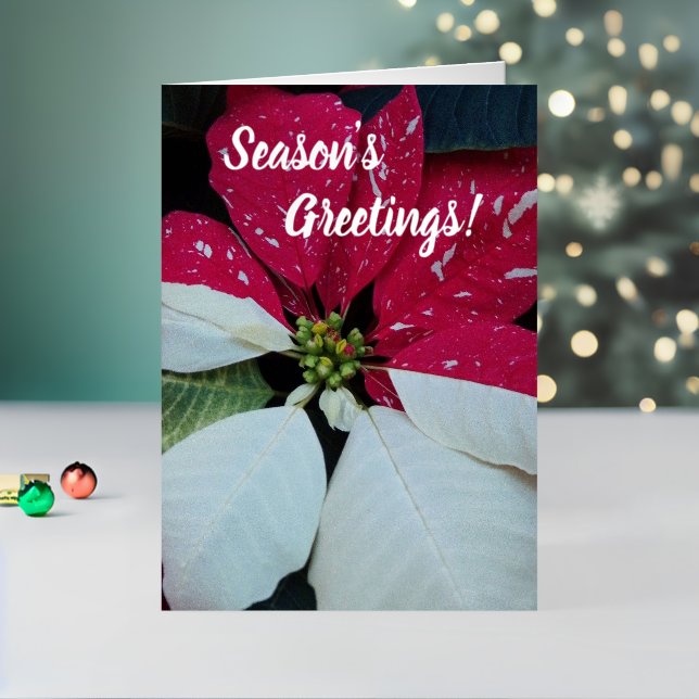 Red and White Poinsettia Floral Foil Holiday Card (Holiday In Situ 2)
