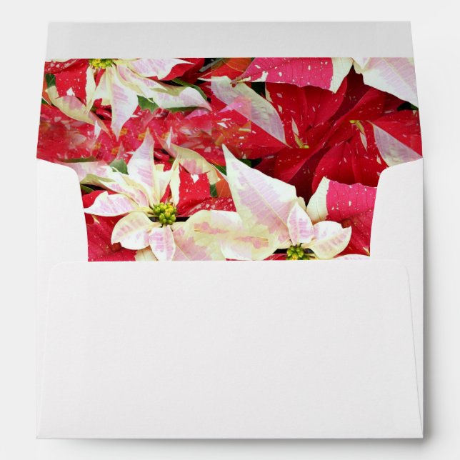 Red and White Poinsettia Holiday Envelope (Back (Bottom))