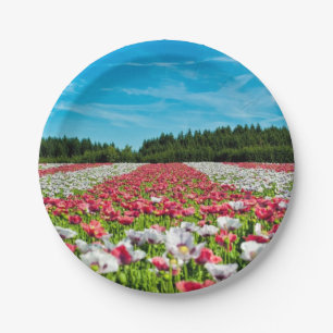 Red and White Poppy Field Paper Plate