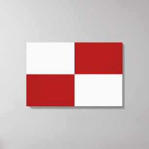 Red and White Rectangles Canvas Print
