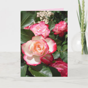 Red and White Rose Flower Floral Roses Card