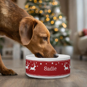 Red And White Santa Sleigh And Stars Christmas Pet