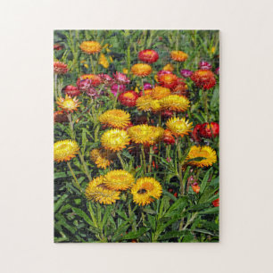 Red and yellow button flowers jigsaw puzzle