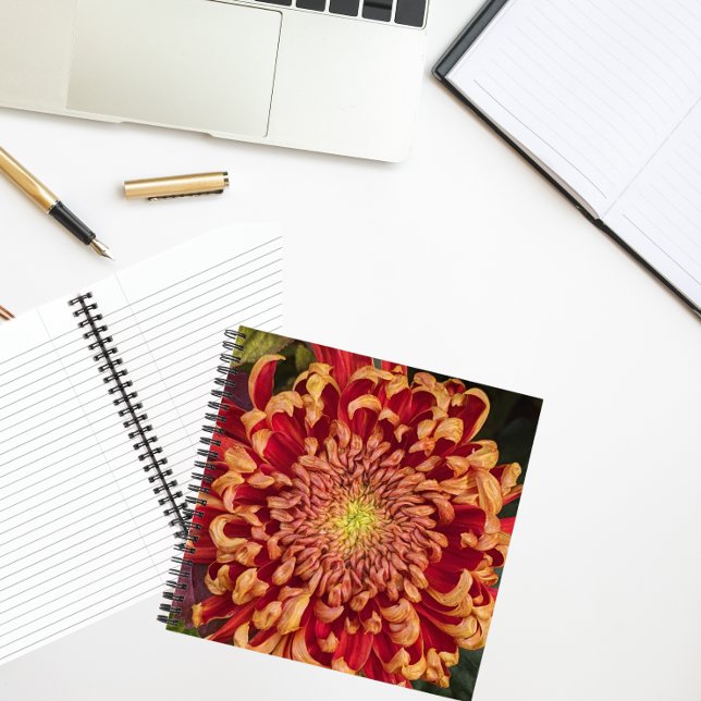 Red and Yellow Chrysanthemum Floral Notebook (In Situ)