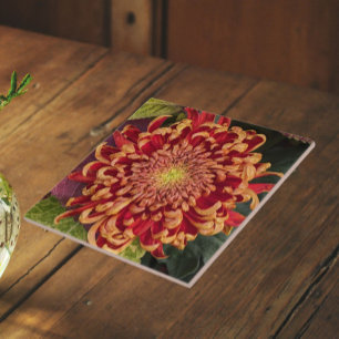 Red and Yellow Chrysanthemum Floral Tile