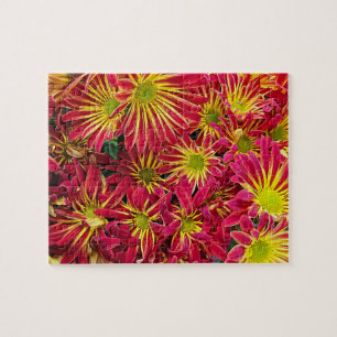 Red and Yellow Chrysanthemums Photo Jigsaw Puzzle