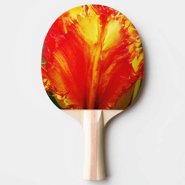 Red And Yellow Close-up Curly Tulip Ping Pong Paddle (Front)