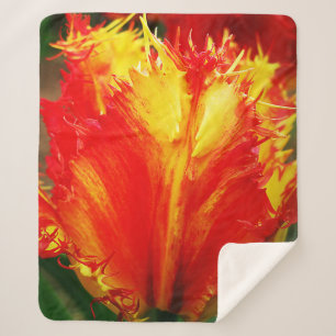 Red And Yellow Close-up Curly Tulip Sherpa Blanket