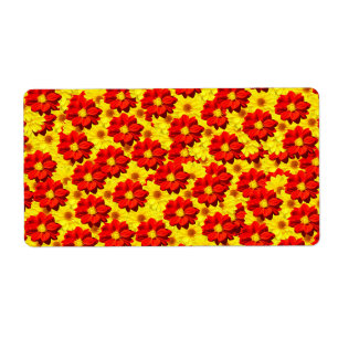 Red and yellow dahlia flowers 