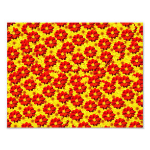 Red and yellow dahlia flowers photo print