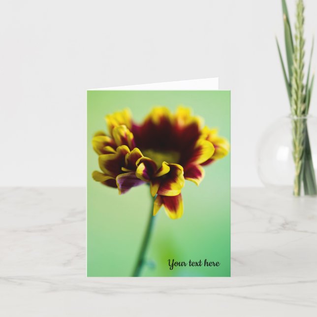 Red and yellow daisy flower Greeting card (Front)