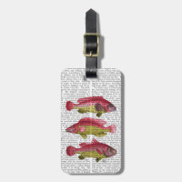 Red and Yellow Fantasy Fish Trio