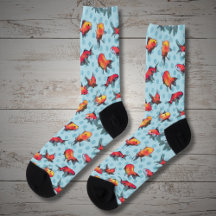 Red and yellow fish on blue background