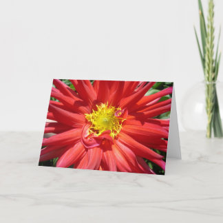Red and Yellow Flower Card