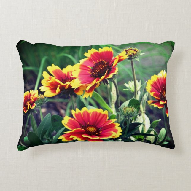 Red And Yellow Gaillardia Blanket Flower  Decorative Cushion (Front)