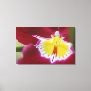 Red and Yellow Orchid Canvas Print