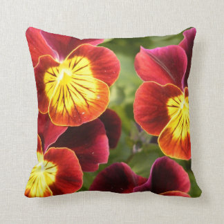 Red and Yellow Pansies (Viola) Cushion
