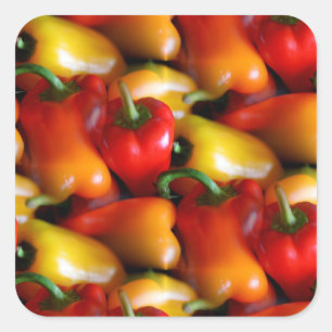 Red and Yellow Peppers Square Sticker