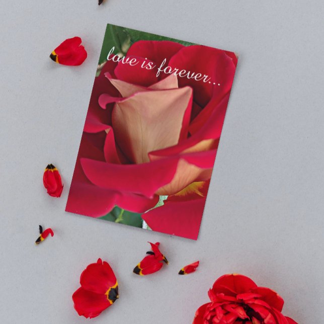 Red and Yellow Rose Personalized Marriage Proposal Card (In Situ)