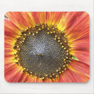 Red and Yellow Sunflower Mousepad