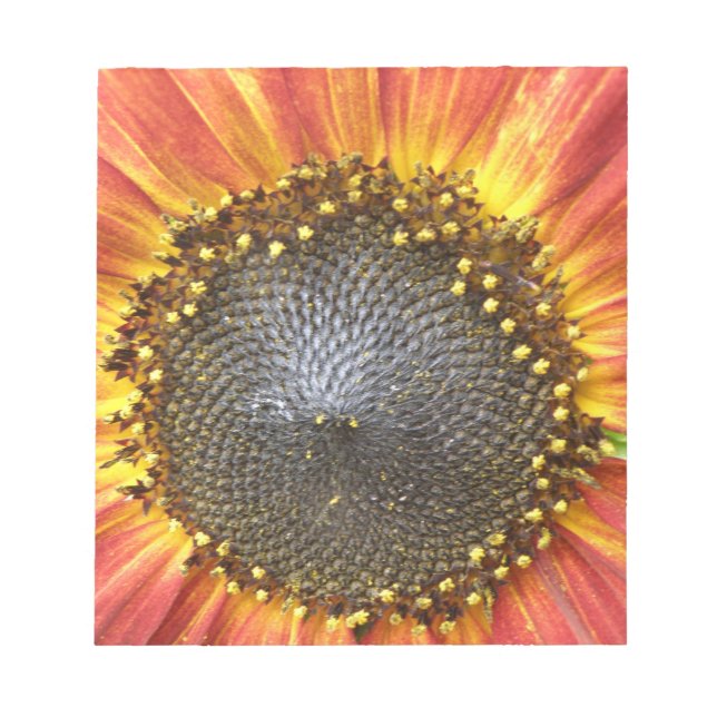 Red and Yellow Sunflower Notepad (Front)