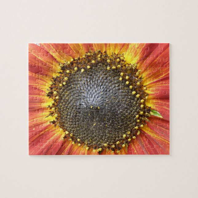 Red and Yellow Sunflower Puzzle (Horizontal)