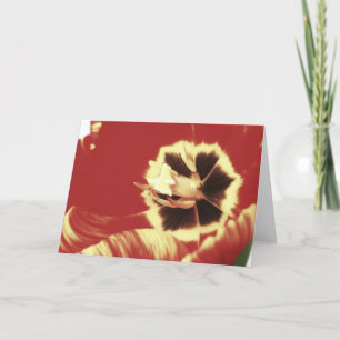 Red and Yellow Tulip Blank Greeting Card
