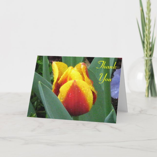 red and yellow tulip thank you note card (Front)