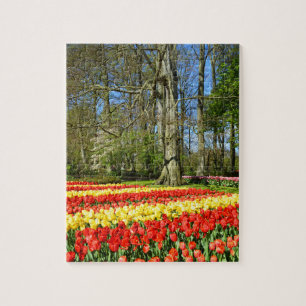Red and yellow tulips jigsaw puzzle