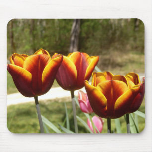 Red and Yellow Tulips Mouse Mat