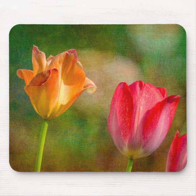 Red and yellow tulips on textured background mouse pad (Front)
