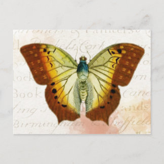 Red and Yellow Vintage Style Butterfly Postcard