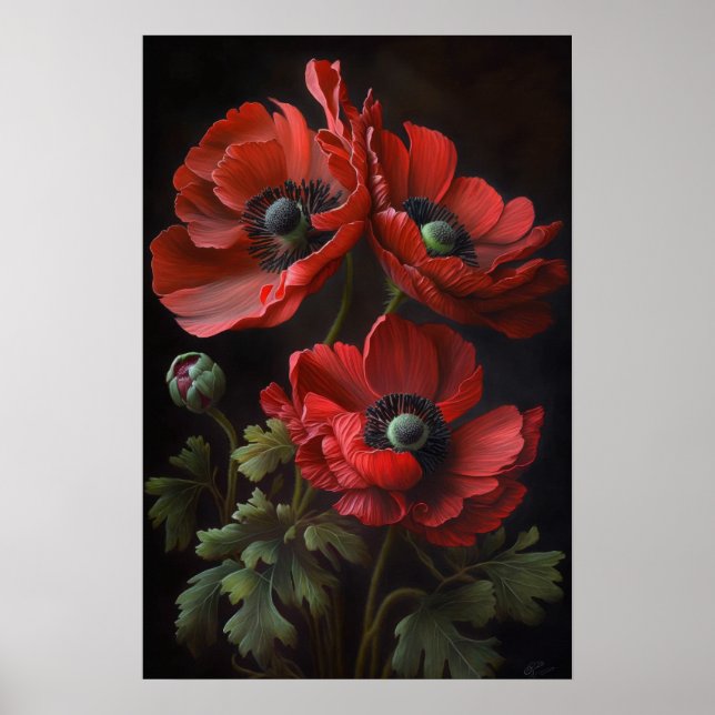 Red Anemone Flower Art Print Poster (Front)