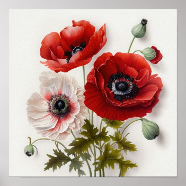 Red Anemone Flowers Art Print Poster (Front)