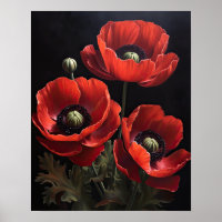 Red Anemone Flowers Art Print Poster