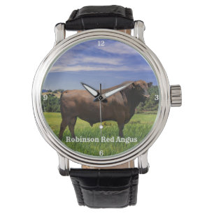 Red Angus Bull  Watch