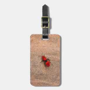 red ant wasp tag