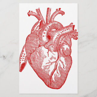 Red Antique Anatomical Heart