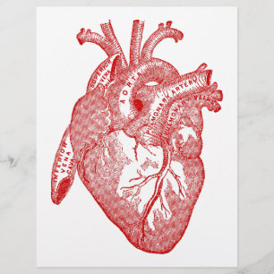Red Antique Anatomical Heart