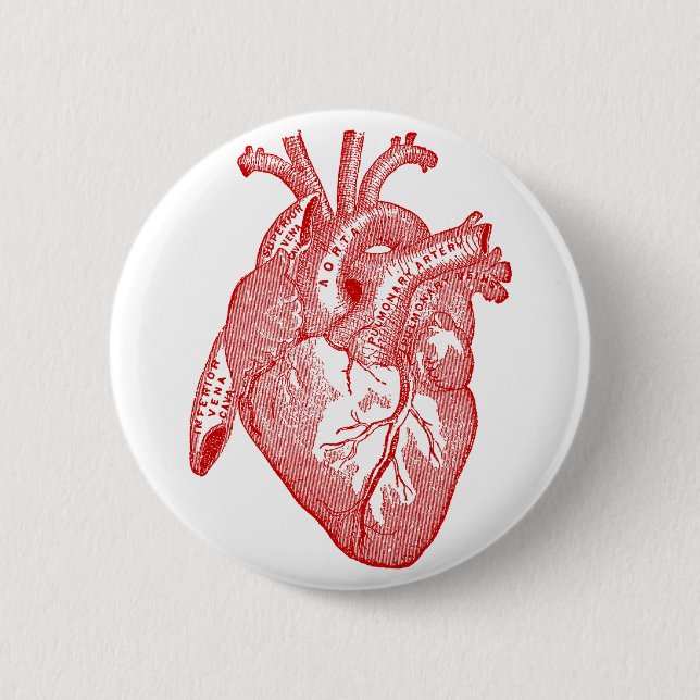 Red Antique Anatomical Heart 6 Cm Round Badge (Front)